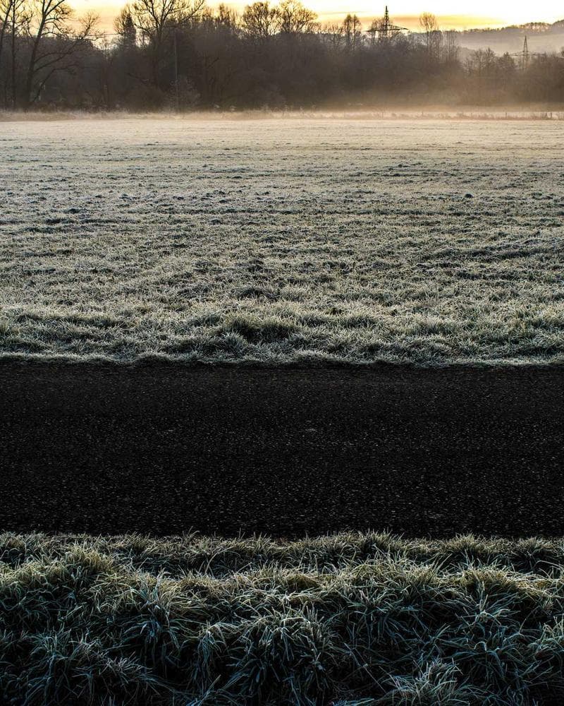 Field & Fern portfolio 1