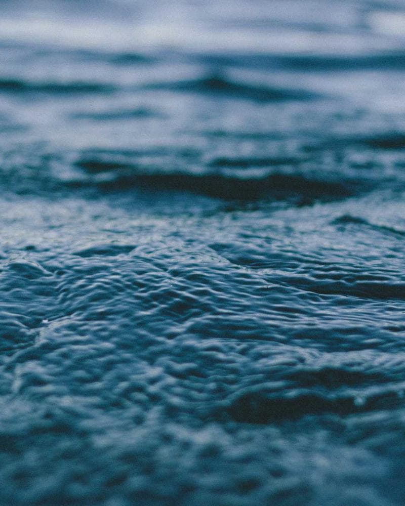 Midnight Band portfolio 2