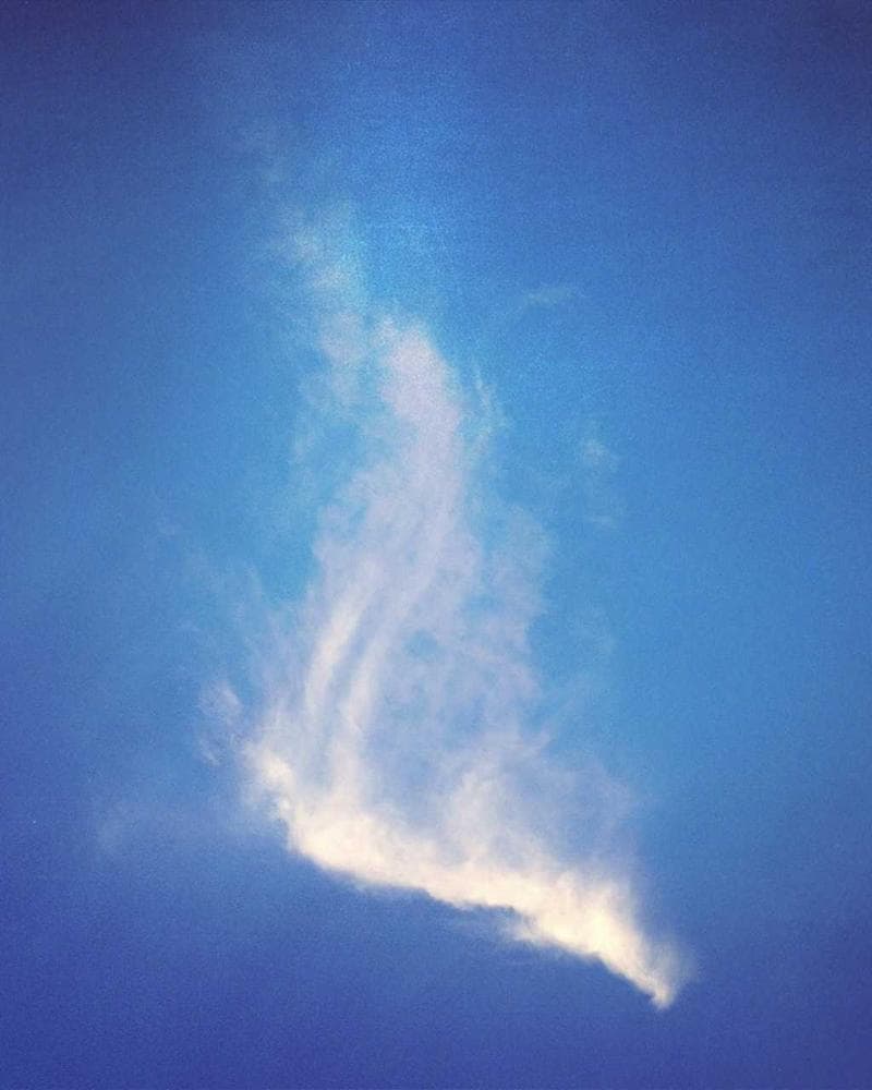 Full Day + Fine Art Album
