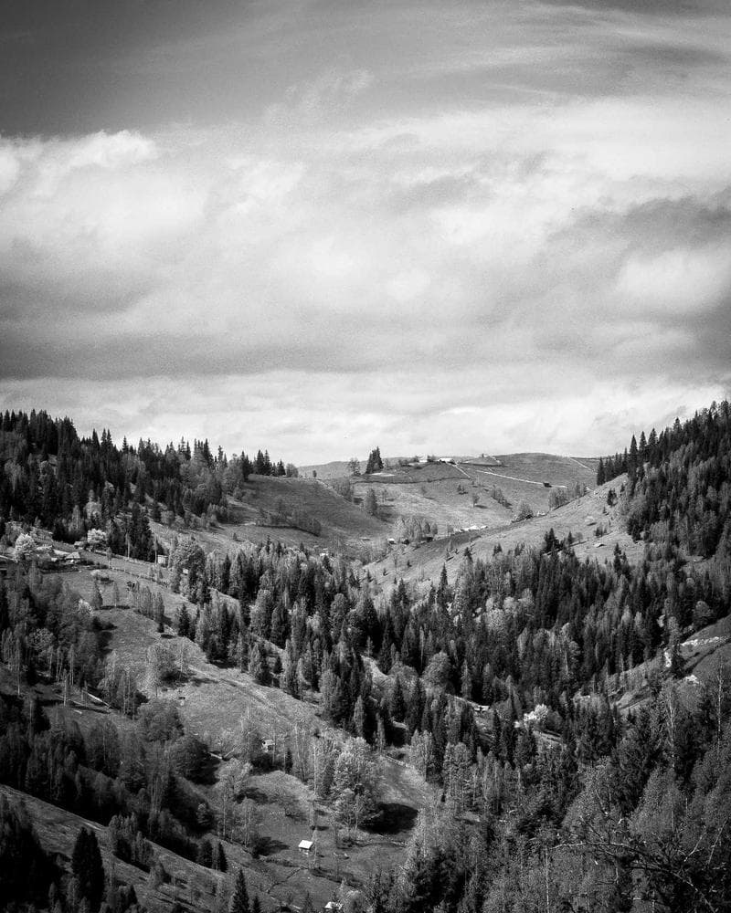 Salt & Sage portfolio 1