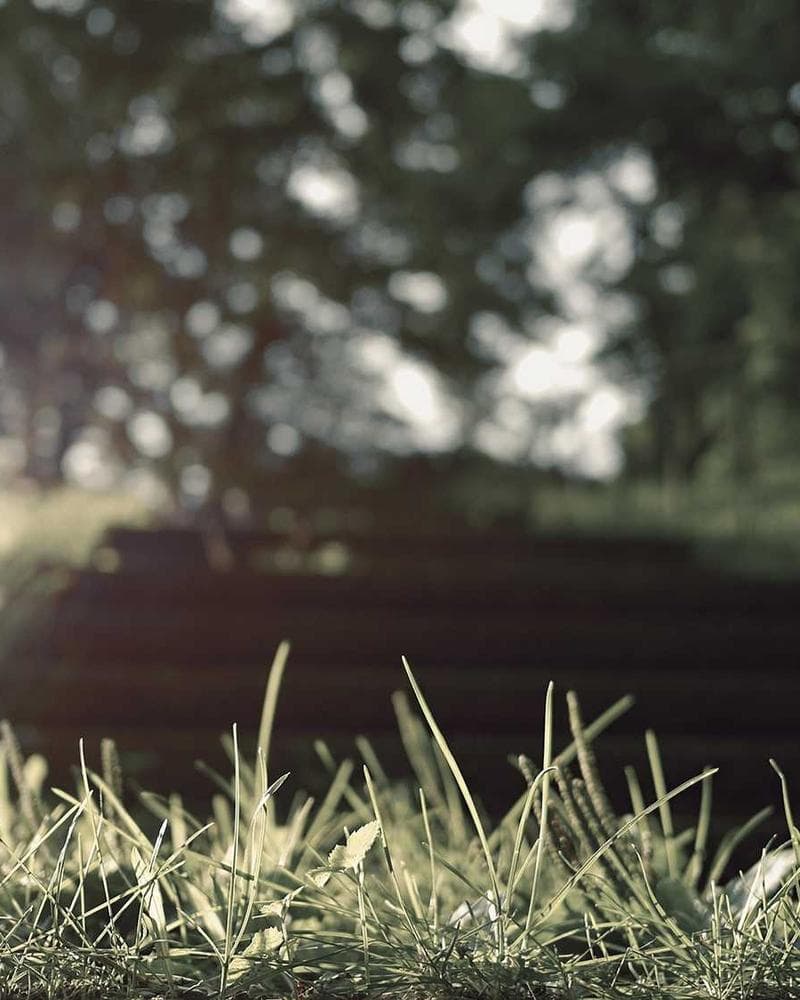 Dusk & Dew portfolio 2
